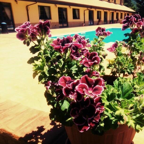 Del Riccio Hotel Martirano Exterior foto